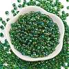 6/0 Inside Colours Glass Seed Beads SEED-A034-03G-2