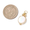 Natural White Shell Pendants PALLOY-JF04839-3