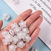 Transparent Acrylic Beads LS-TACR-S152-09C-06-5