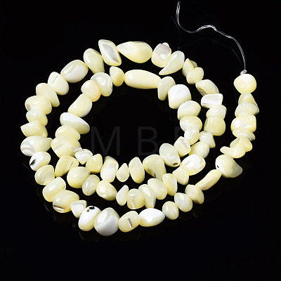 Natural Trochid Shell/Trochus Shell Bead Strands SSHEL-N034-78-C01-1