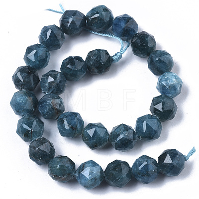 Natural Apatite Beads Strands G-N327-03B-02-1