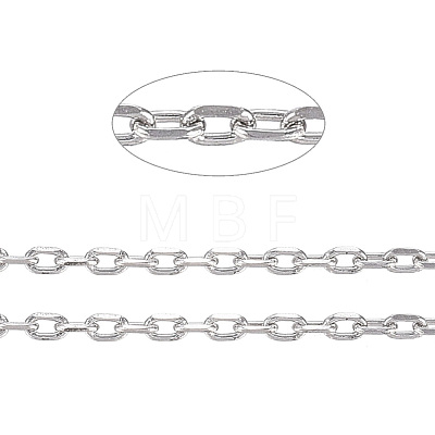 3.28 Feet 304 Stainless Steel Cable Chains X-CHS-D004-01P-1