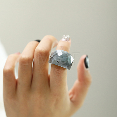 Fashionable 304 Stainless Steel & Natural Labradorite Finger Rings FS-WG90577-34-1