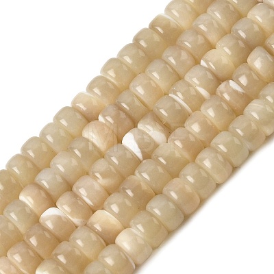Natural Trochid Shell/Trochus Shell Beads Strands SSHEL-S266-019B-03-1