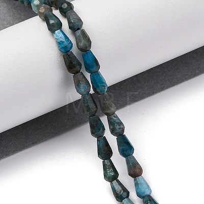 Natural Apatite Beads Strands G-C080-B06-01A-1