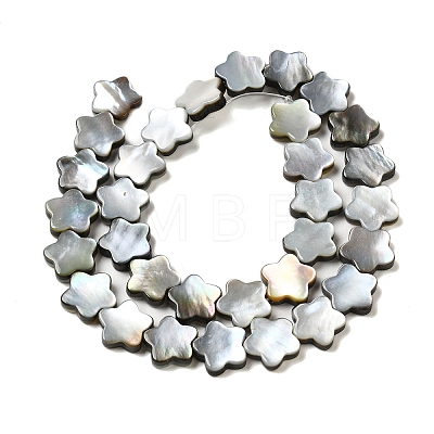 Natural Black Lip Shell Beads Strands SHEL-M021-02A-1