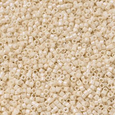 MIYUKI Delica Beads SEED-J020-DB0204-1