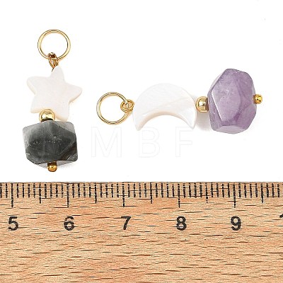 2Pcs 2 Styles Faceted Natural Mixed Stone and Shell Pendants PALLOY-JF06050-1