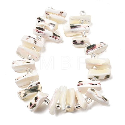 Natural Trochid Shell/Trochus Shell Beads Strands BSHE-A002-03A-1