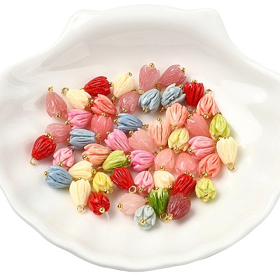 48Pcs 8 Colors Opaque Resin Charms PALLOY-YW00209-1