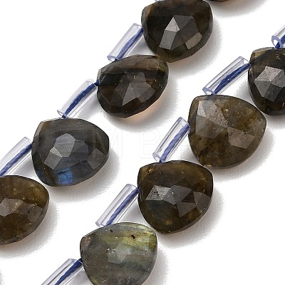 Natural Labradorite Beads Strands G-C292-A09-01-1