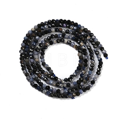 Natural Sapphire Beads Strands G-P553-G07-01-1