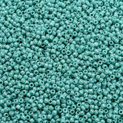 TOHO Round Seed Beads SEED-TR11-0413-1