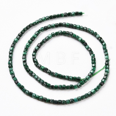 Natural Malachite Beads Strands G-C009-B24-1