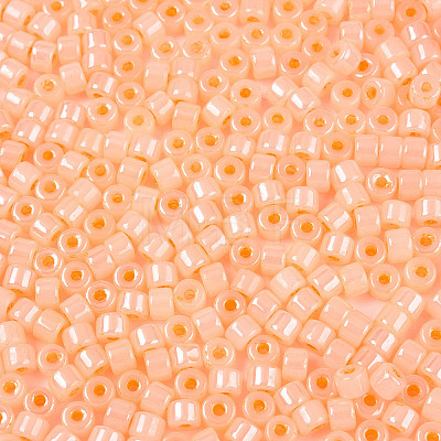 Glass Seed Beads SEED-T008-01C-1