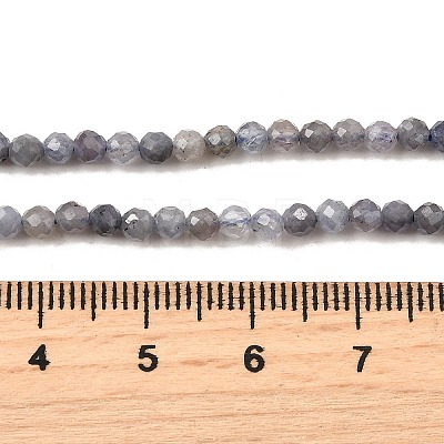 Natural Tanzanite Beads Strands G-S387-A01-3mm-1