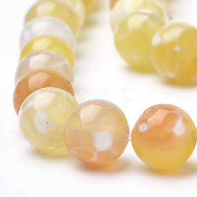 Dyed Natural Fire Crackle Agate Beads Strands G-Q462-127D-8mm-1