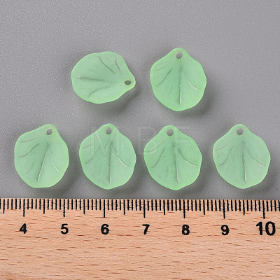 Transparent Frosted Acrylic Pendants MACR-S371-02A-733-1