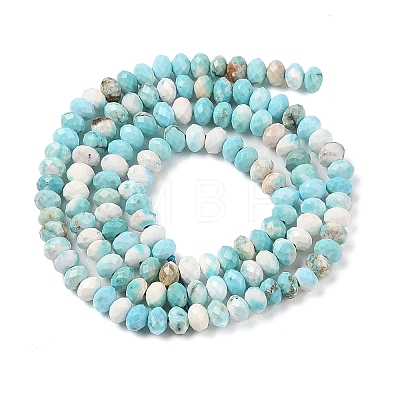 Natural Howlite Beads Strands G-H025-03D-09-1