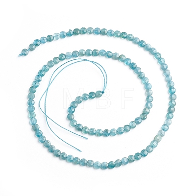 Natural Apatite Beads Strands G-E560-C10-4mm-1