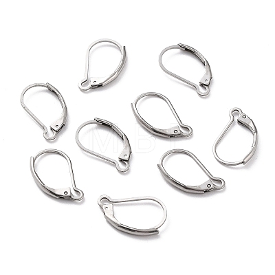 Non-Tarnish 304 Stainless Steel Leverback Earring Findings LS-X-STAS-K233-04P-1