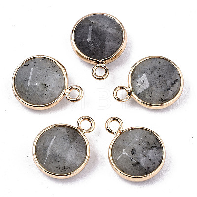 Natural Labradorite Pendants X-G-T131-101A-1