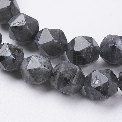 Natural Black Larvikite Beads Strands G-J376-47A-10mm-1