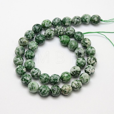 Natural Green Spot Jasper Beads Strands X-G-L148-14mm-01-1