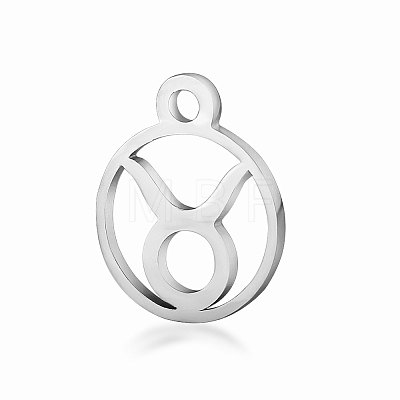 Non-Tarnish 201 Stainless Steel Charms STAS-T014-T505-2-1