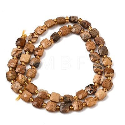 Natural Picture Jasper Beads Strands GG-CBA96AE-A02-6x6mm-1