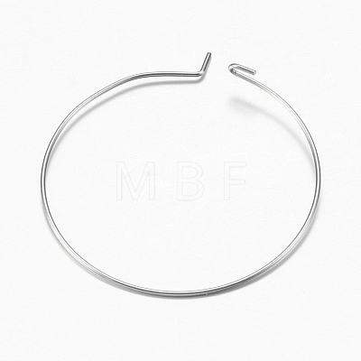 316 Surgical Stainless Steel Hoop Earrings Findings STAS-I097-050B-1