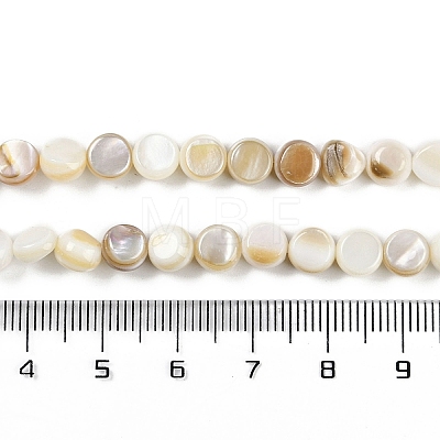Natural Freshwater Shell  Beads Strands BSHE-H109-11-1