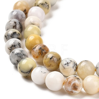 Natural African Opal Beads Strands G-B048-B03-01-1