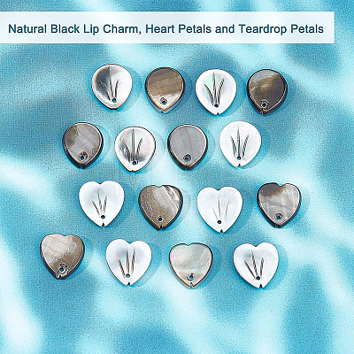 16Pcs 2 Styles Natural Black Lip Shell Charms SHEL-BC0001-021-1