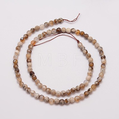 Natural Fire Crackle Agate Beads Strands X-G-G882-4mm-B06-3-1
