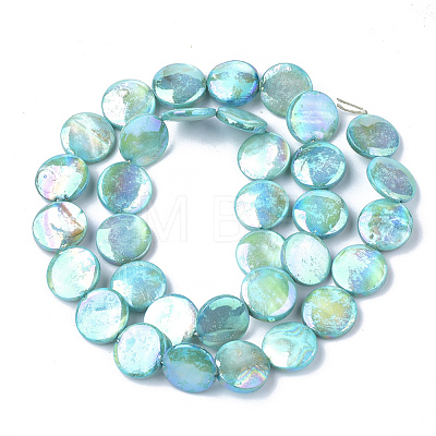 Freshwater Shell Beads Strands SHEL-S274-52A-1