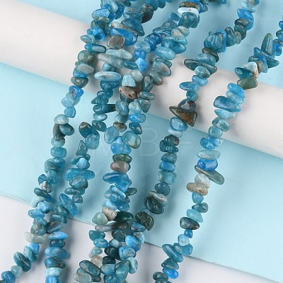 Natural Apatite Beads Strands G-G0003-B08-1