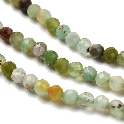 Natural Serpentine Beads Strands G-B107-A05-05-1