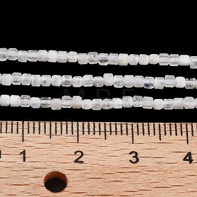 Natural Rainbow Moonstone Beads Strands G-H042-B02-01-1