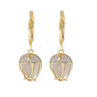 Alloy Clear Cubic Zirconia Dangle Earrings FS-WGAEA82-01-1