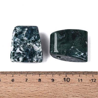 Natural Indian Agate Pendants G-G602-07K-1