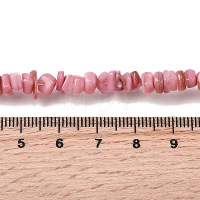 Natural Freshwater Shell Beads SHEL-B003-01K-1