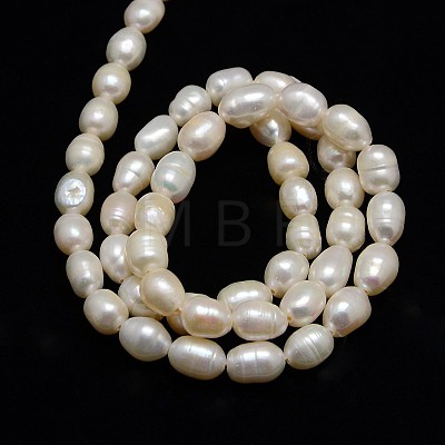Natural Cultured Freshwater Pearl Beads Strands PEAR-L001-B-03-1