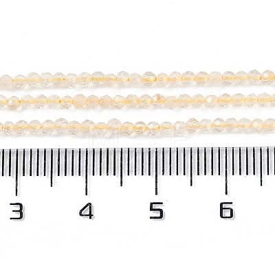 Natural Citrine Beads Strands G-P542-A02-01-1