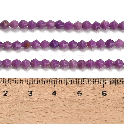 Natural Lepidolite/Purple Mica Stone Beads Strands GG-CBAA9B4-A15-01-1