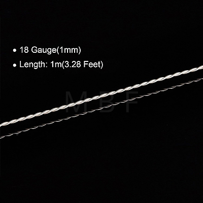 999 Fine Silver Sterling Silver Wire OCOR-WH0074-09B-S-1