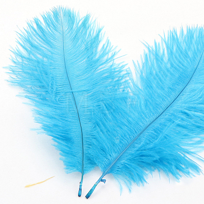 Ostrich Feather Ornament Accessories FEAT-PW0001-002H-1