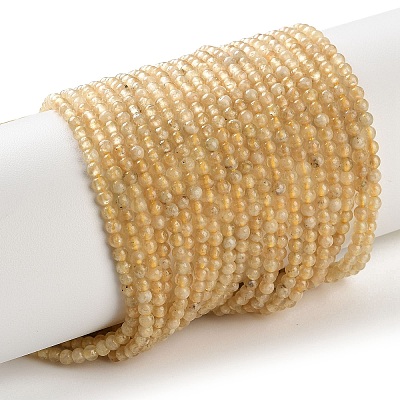 Natural Yellow Garnet Beads Strands G-Z129-C01-3mm-01-1