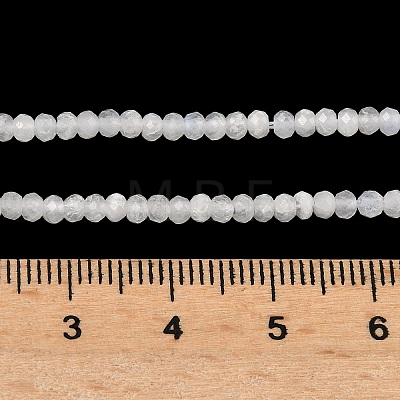 Natural Rainbow Moonstone Beads Strands G-G0005-D02-01-1