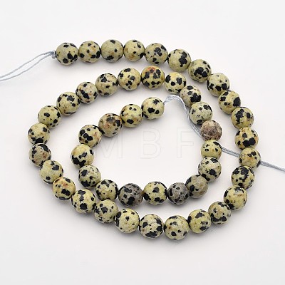 Natural Dalmation Jasper Beads Strands X-G-G542-8mm-07-1